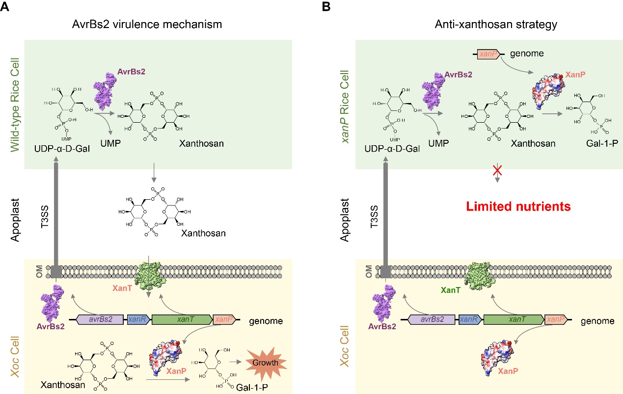 文件名称:image2.jpeg原图大小:NaNGB