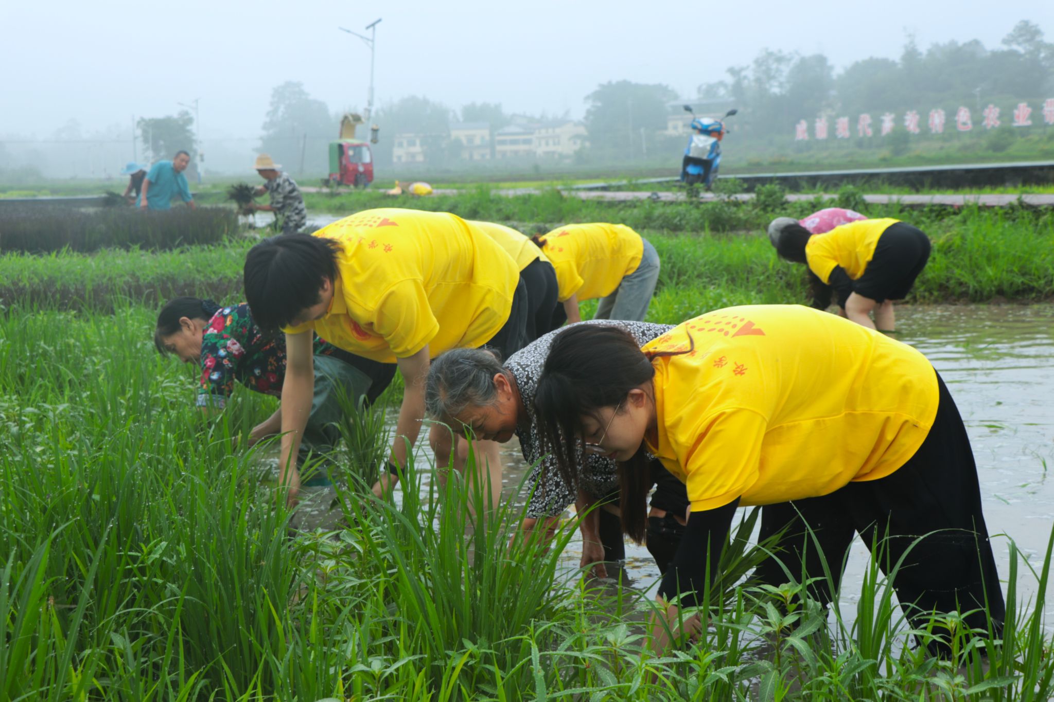 文件名称:微信图片_20250710152822.jpg原图大小:2.31MB