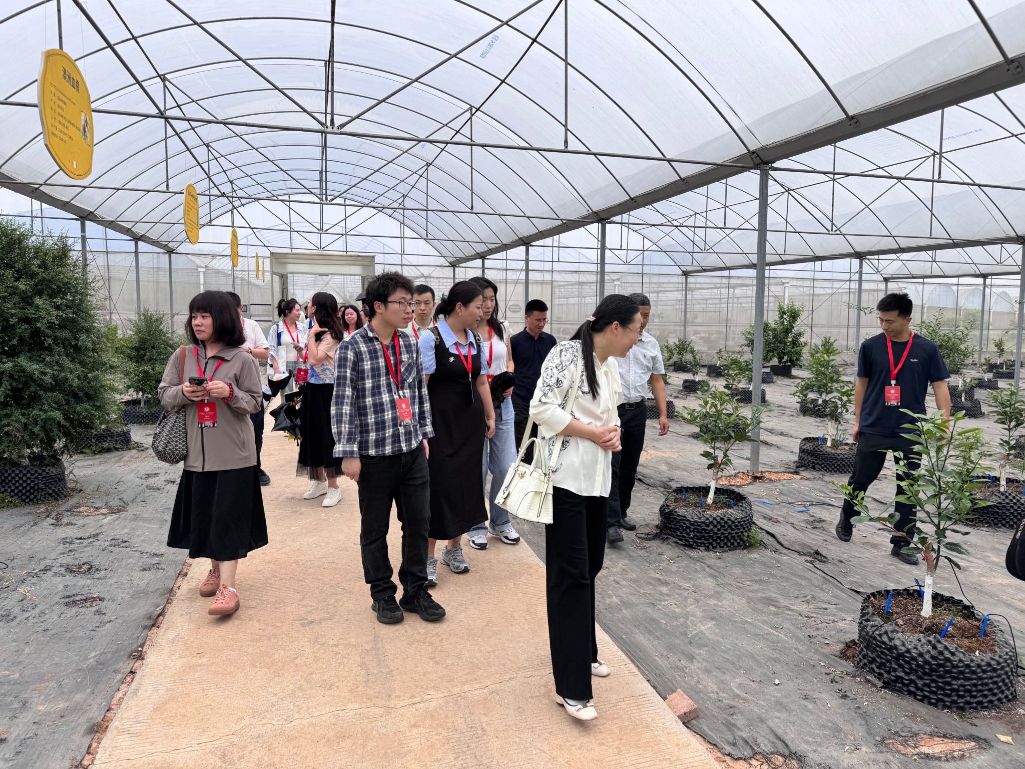 文件名称:s834.JPEG原图大小:NaNGB