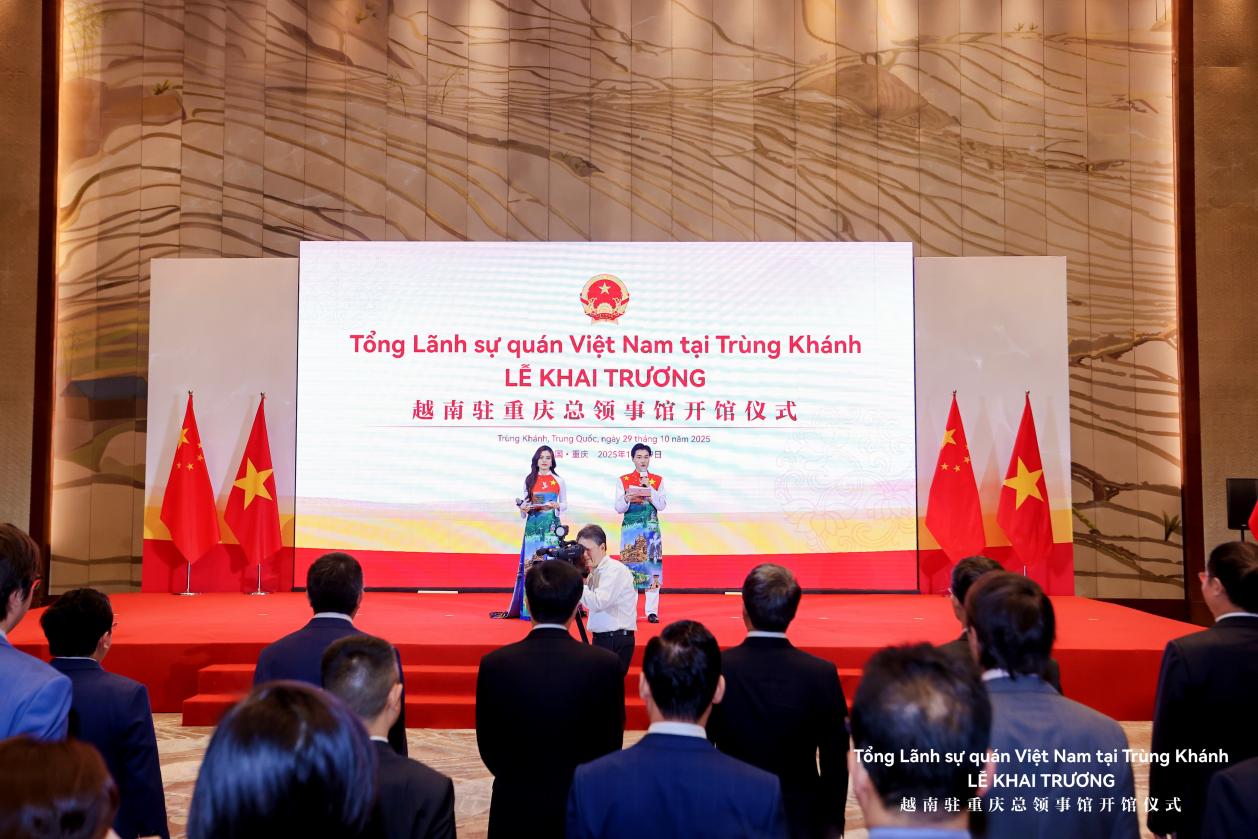 文件名称:image2.jpeg原图大小:NaNGB