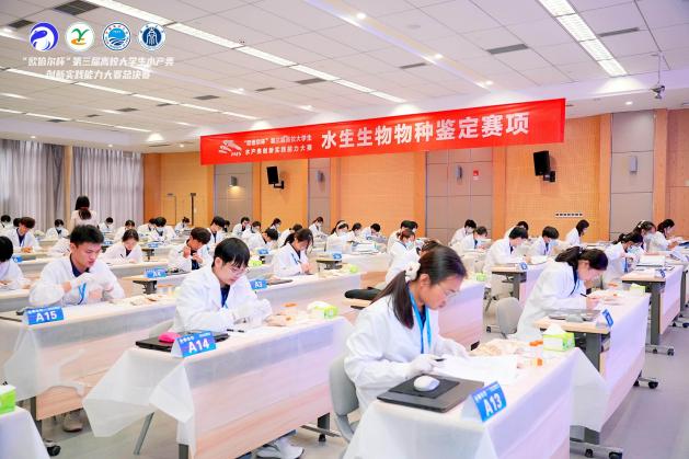 文件名称:image8.jpeg原图大小:NaNGB