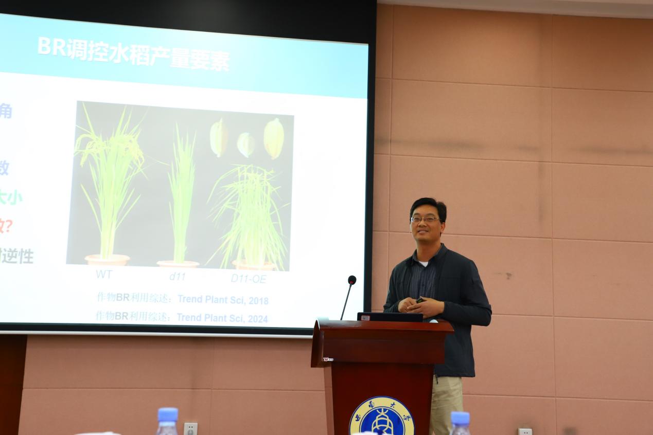 文件名称:image5.jpeg原图大小:NaNGB