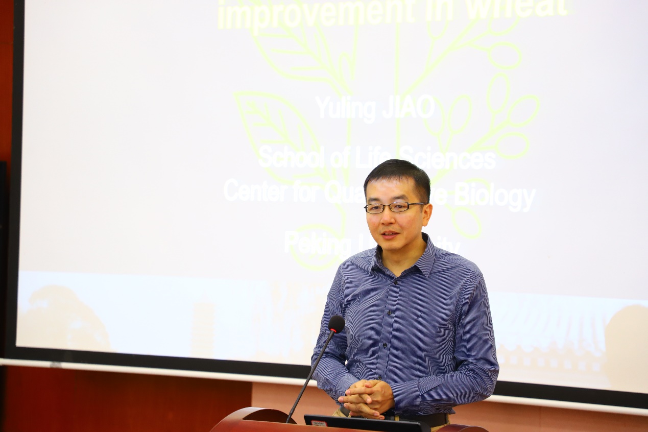 文件名称:image3.jpeg原图大小:NaNGB