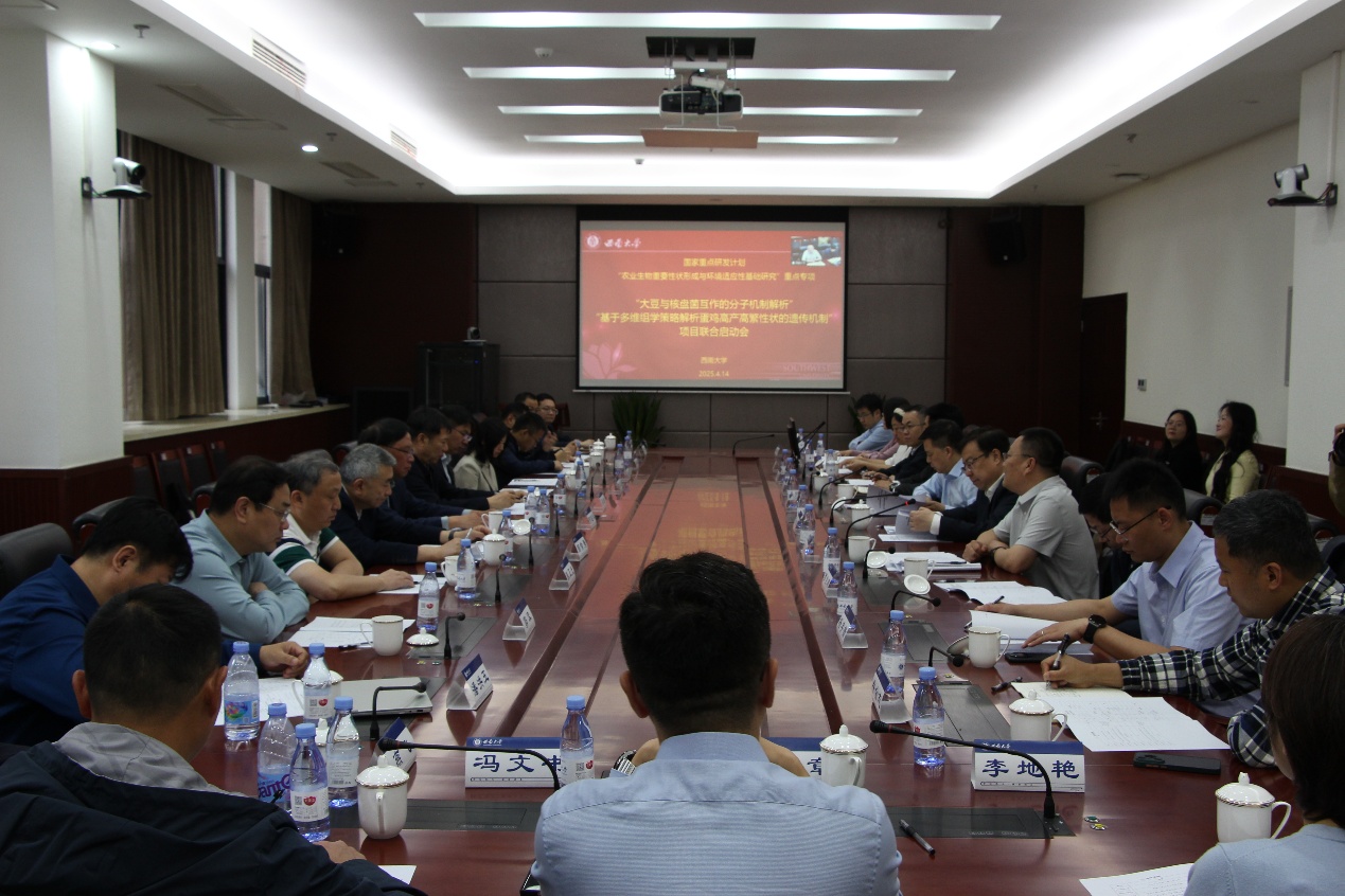 文件名称:image2.jpeg原图大小:NaNGB