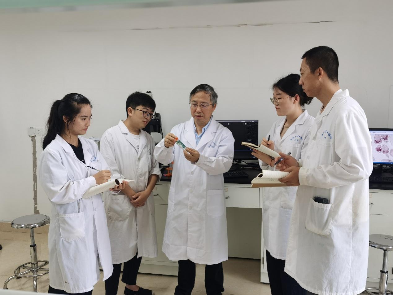 文件名称:image3.jpeg原图大小:NaNGB