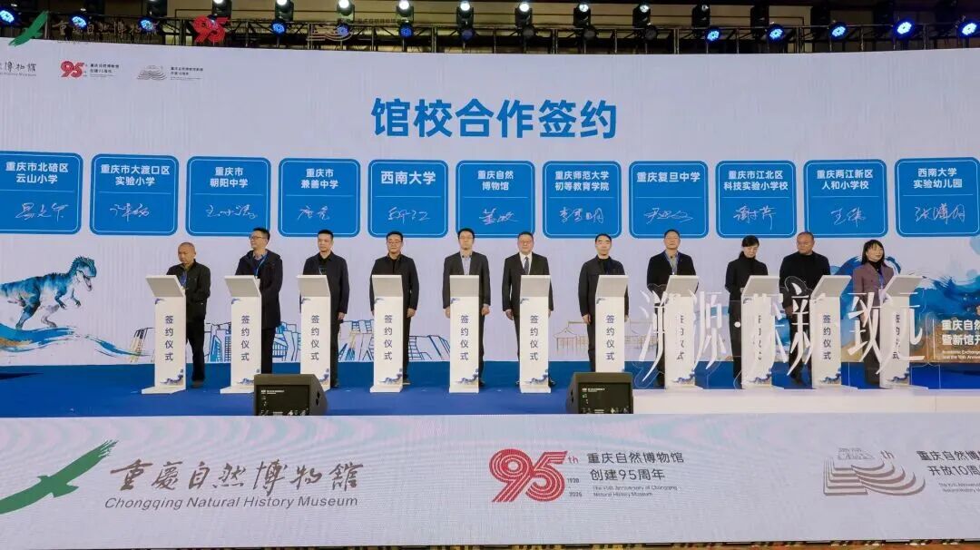 文件名称:image2.jpeg原图大小:NaNGB