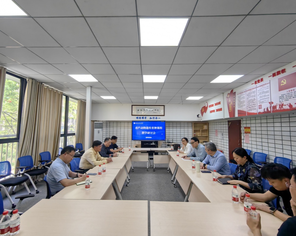 文件名称:image4.jpeg原图大小:NaNGB