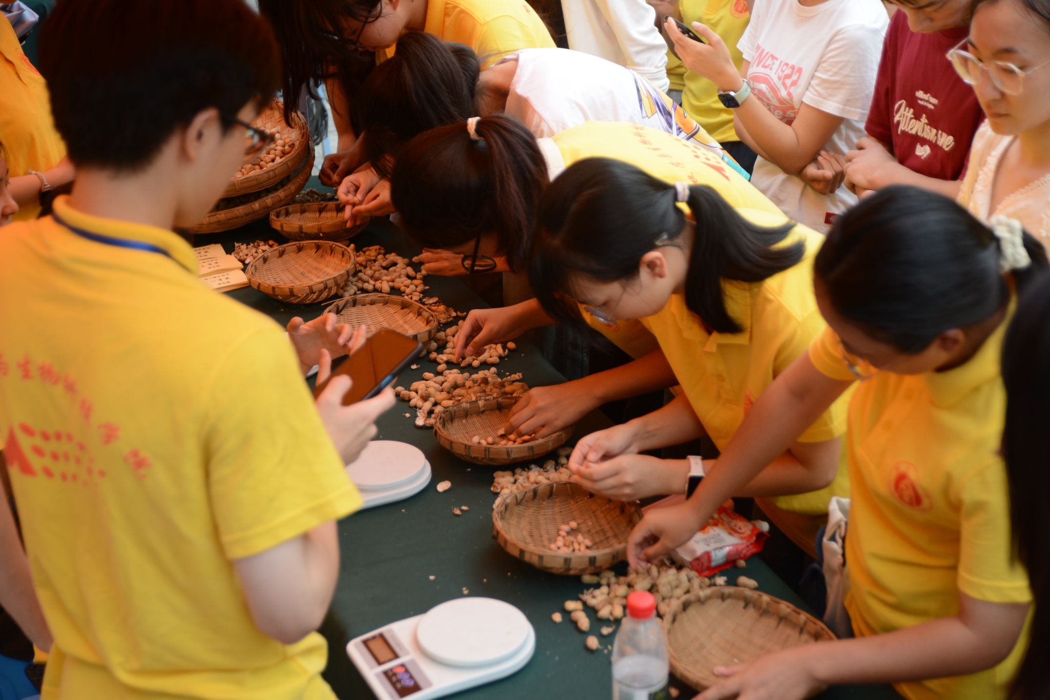 文件名称:微信图片_20250922172329_50_803.jpg原图大小:9.09MB